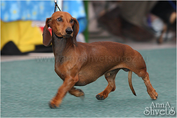 2323_14_CATO-ZE-ZELENE-MYTINY